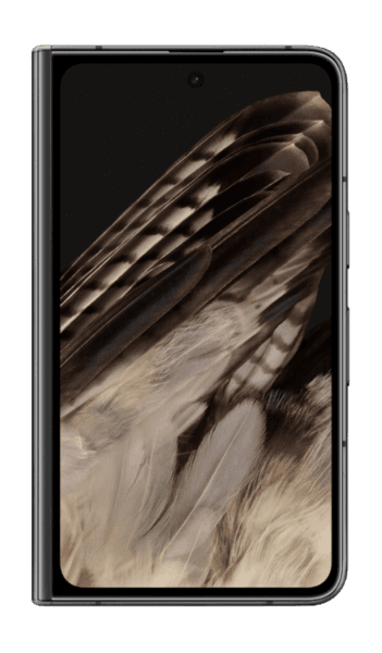 Google Pixel Fold